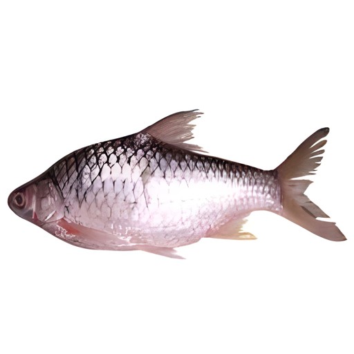 FISH BAILLA CLEANED SHORPUTI/HILSHA 500 GM