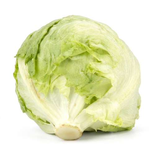 Iceberg Lettuce 1 PCS
