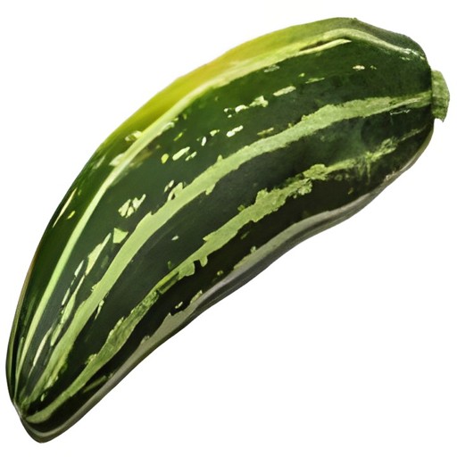 SQUASH.ZUCCHINI 1 COUNT