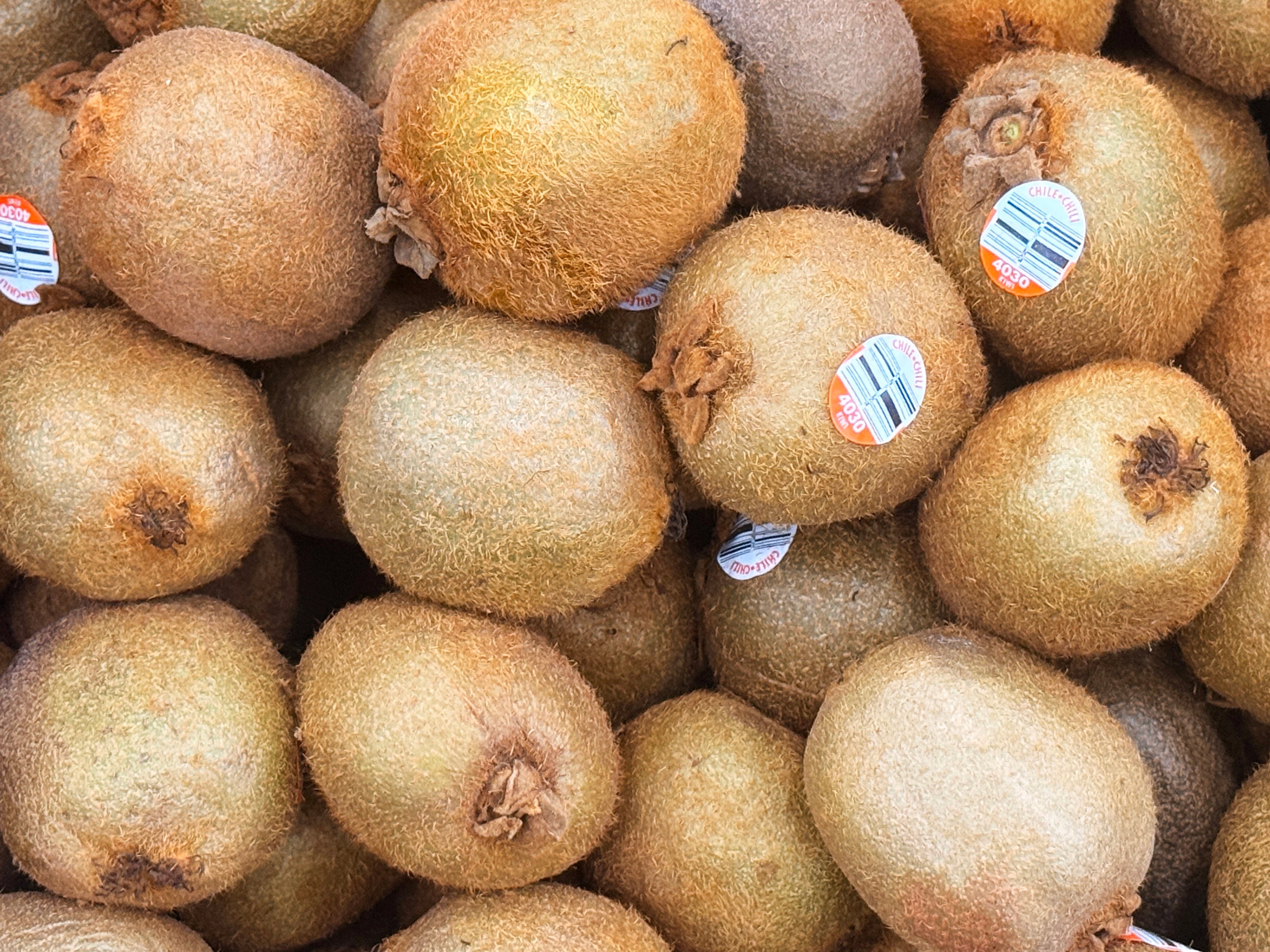Kiwi 1 LBS
