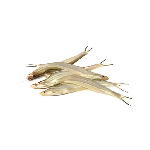 FISH LASSO BATASHI BLOCK 250 GM