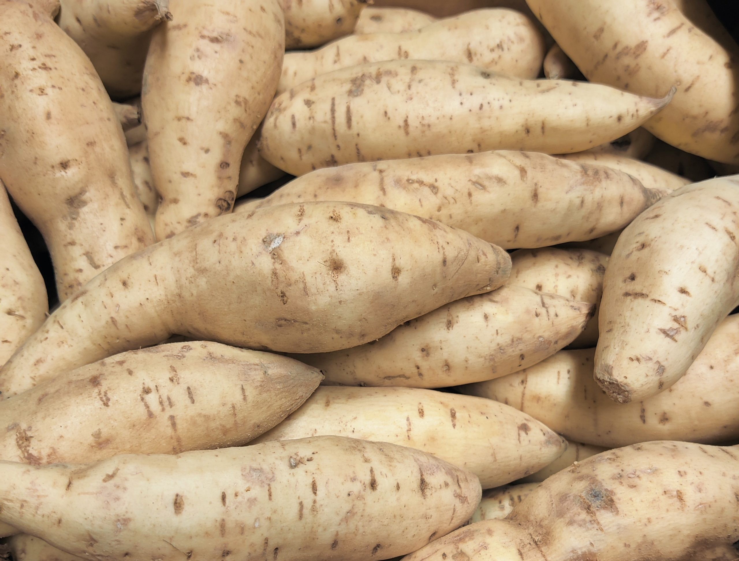 SWEET POTATOES 0.98 LBS