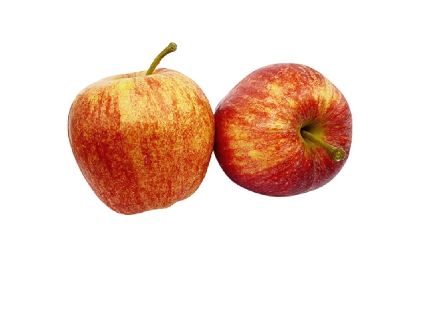 Apple Gala 1 LBS