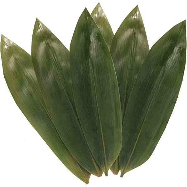 KALUSTYANS DRIED BAMBOO LEAF BUNCH 25 Each