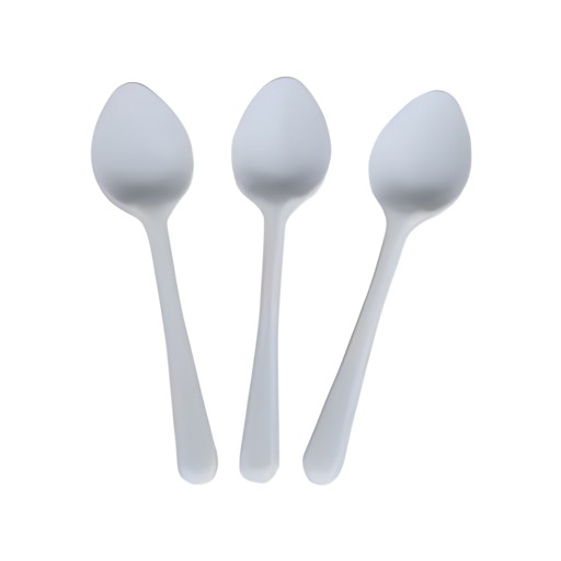 Spoons 500 PCS