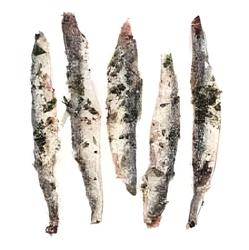 ROLAND SILVERSKIN ANCHOVIES WITH GARLIC PARSLEY 0.25 Lbs