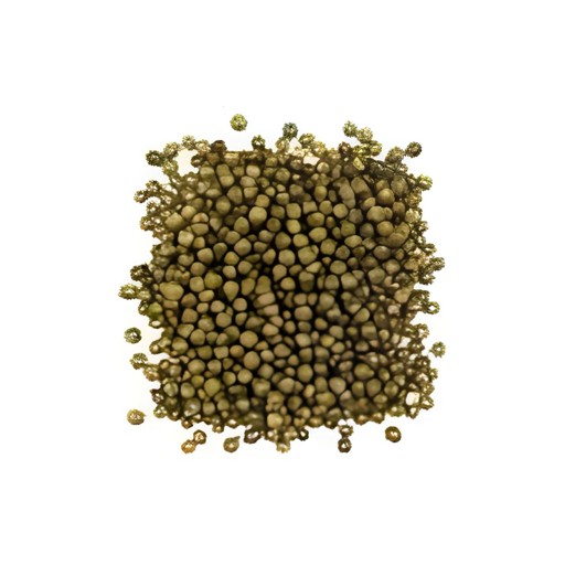 ROLAND GREEN PEPPERCORNS IN WATER, SALT ADDED 0.94 Lbs