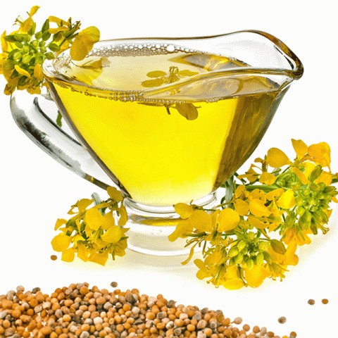 Pure Canola OIL 32 OZ
