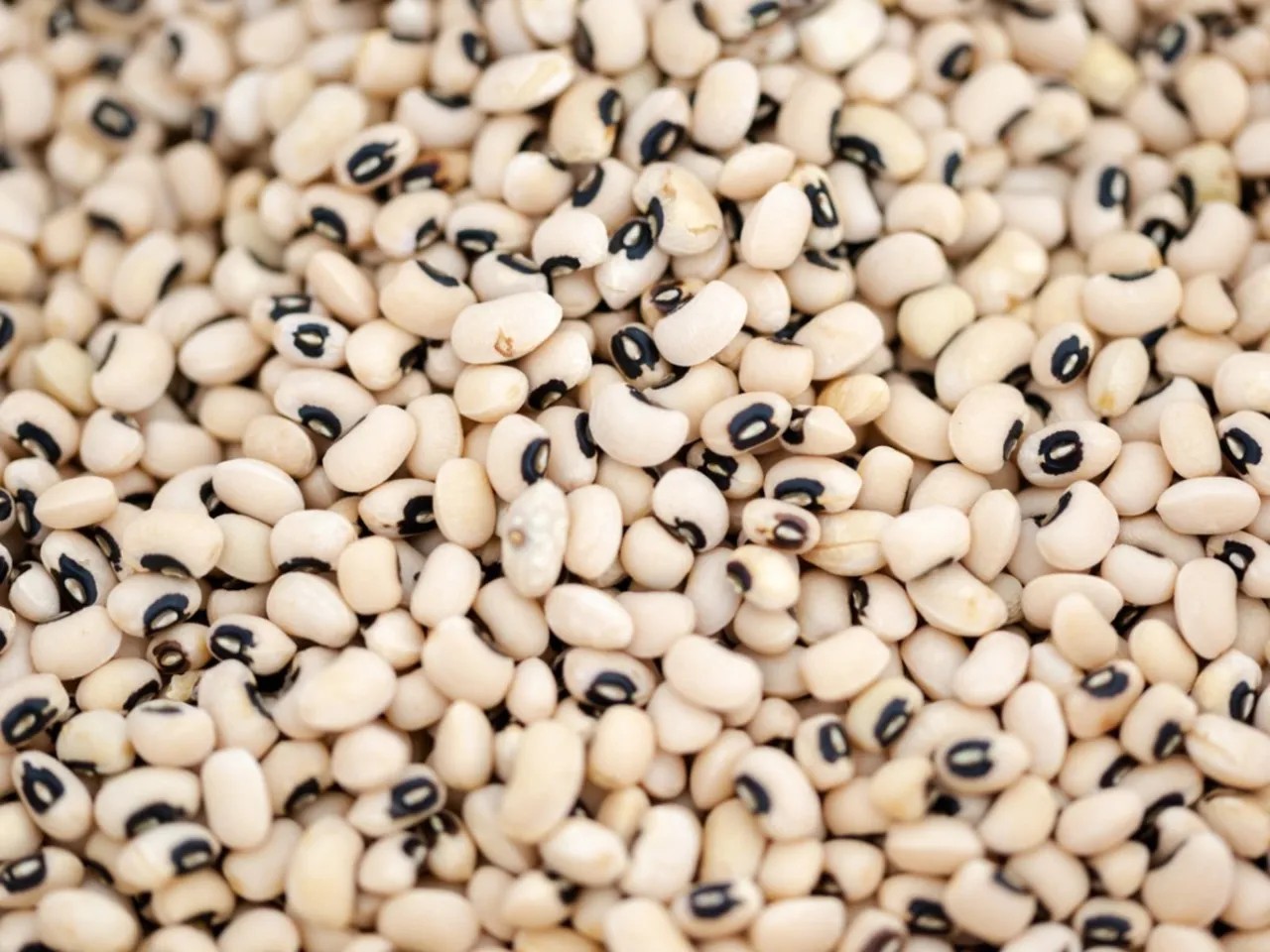 GOYA BLACKEYE PEAS 4 LBS