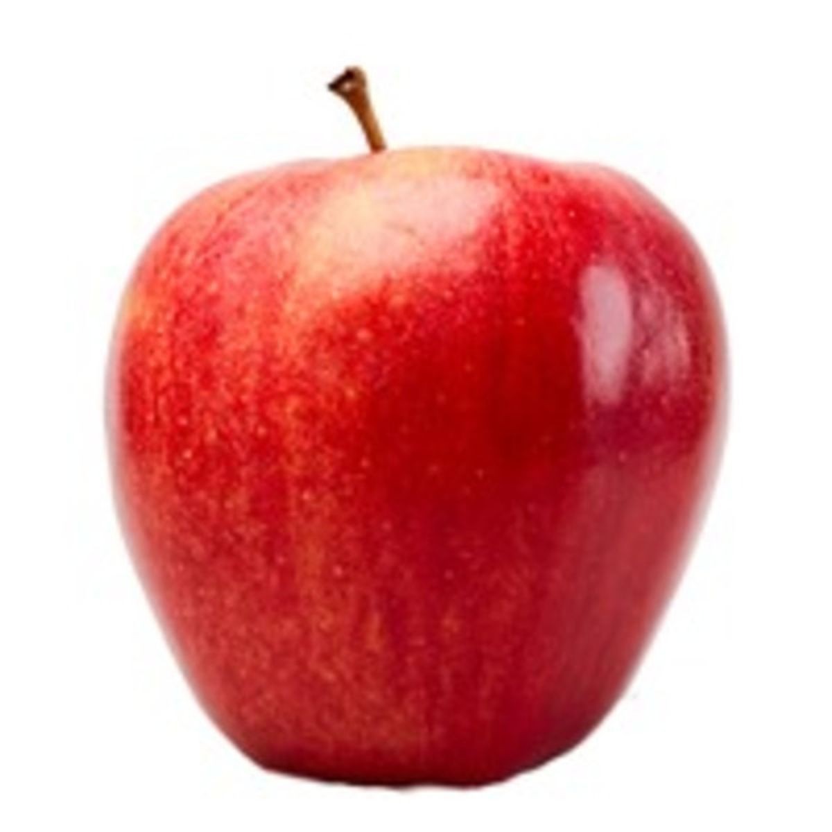 Small Gala Apple 1 LBS