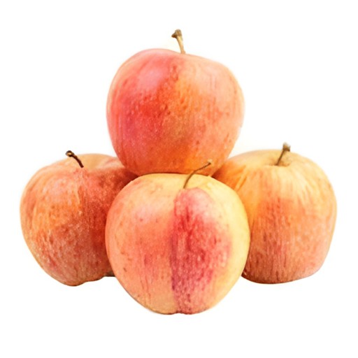 Gala Apple