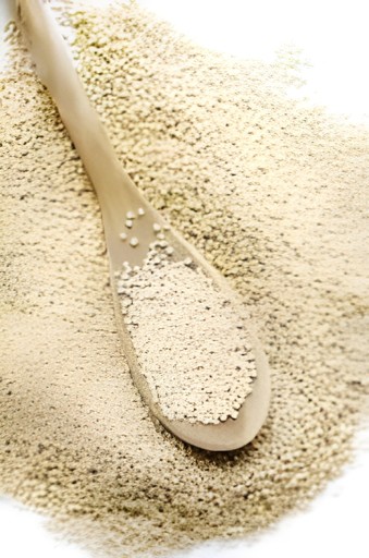 Earthly Grains Quinoa 1 LBS