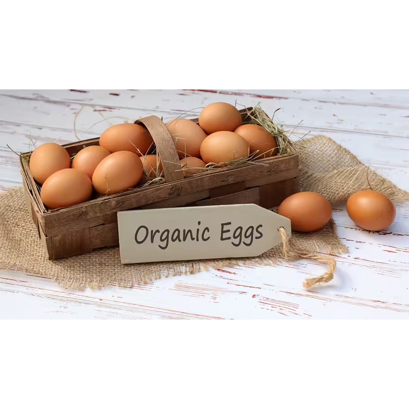 Brown Eggs Cage  Free (Organic) 12 COUNT