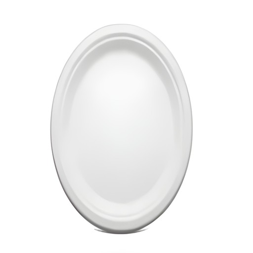 FOAM PLATES ROUND 9 INCHES 125 PCS