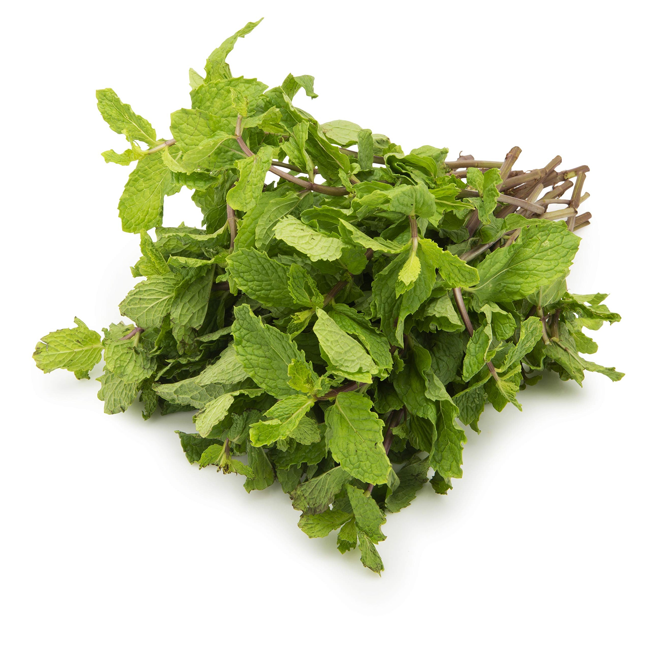 Omjee Organic Mint Leaves  100 GM