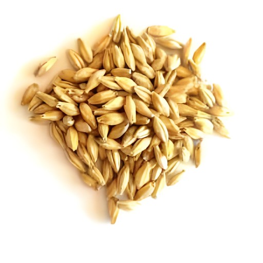 THREE RIVERS BARLEY WHOLE 2 LBS