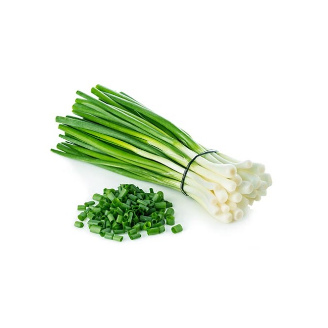 Yellow Onion Bag 10 LBS