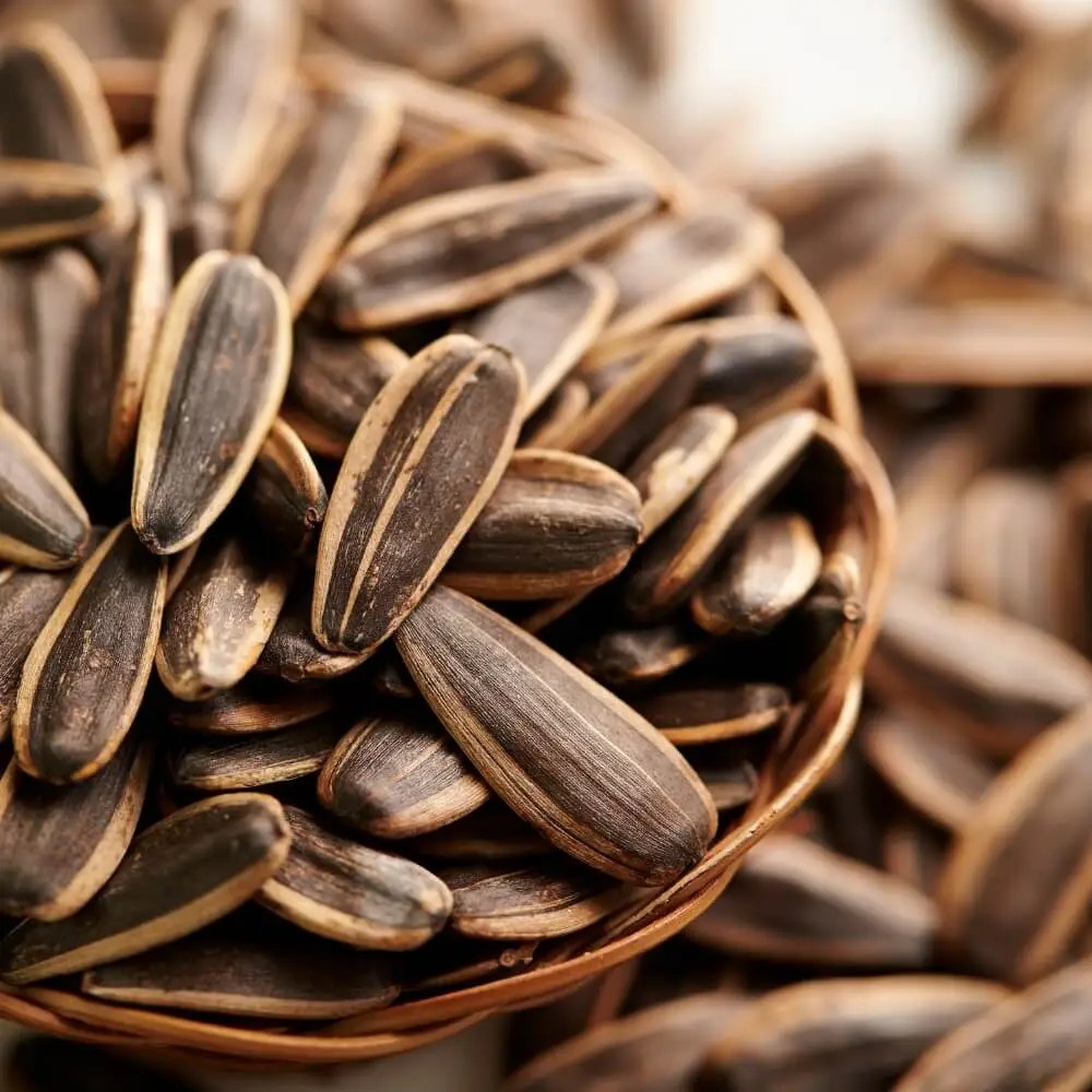 MERAY SUNFLOWER EXTRA SALTED SEEDS 250 GM