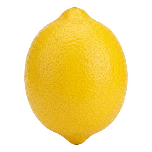 Fresh Lemon 1 COUNT