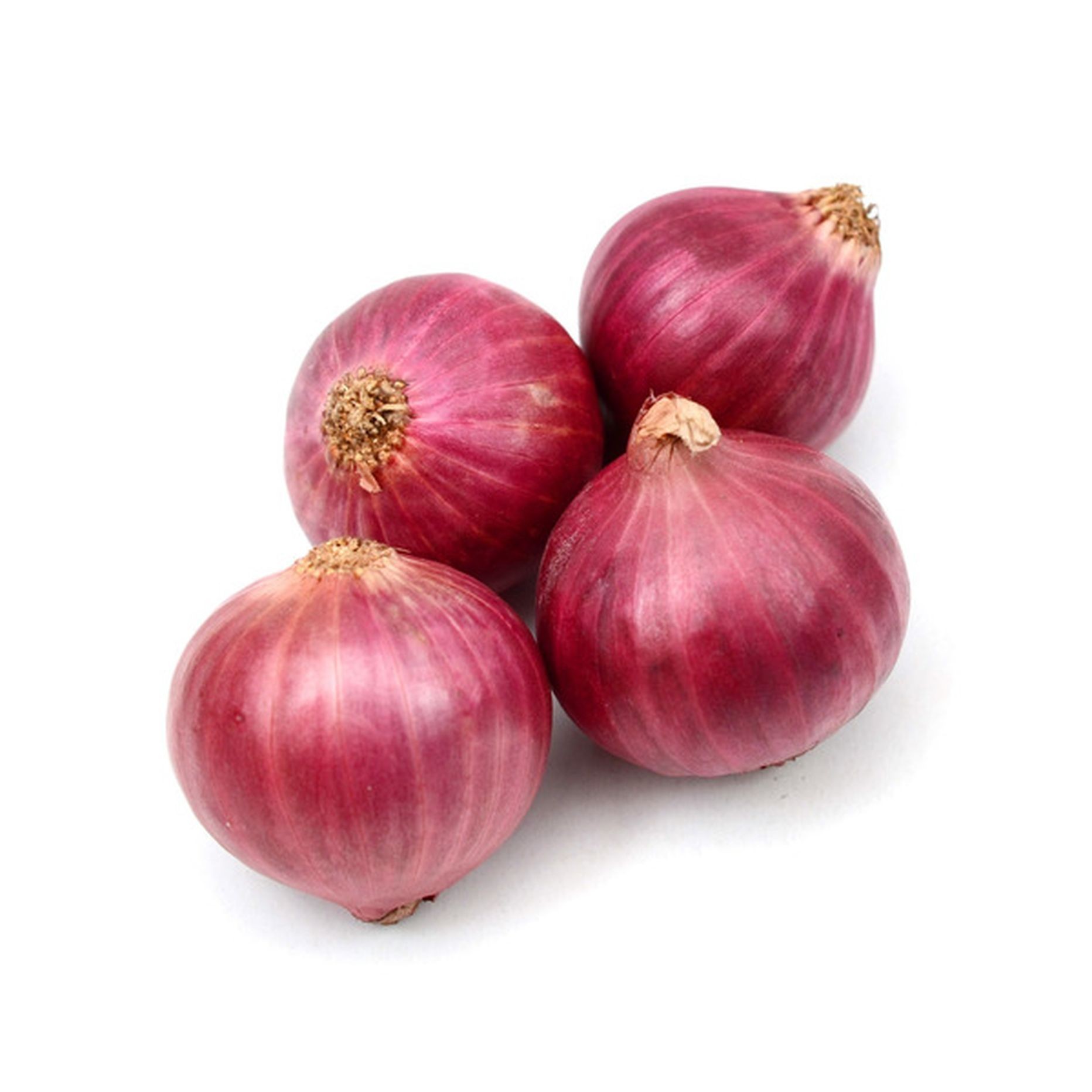 ONION RED 50 LBS