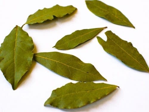 KALUSTYANS TURKISH BAY LEAVES 0.19 Lbs