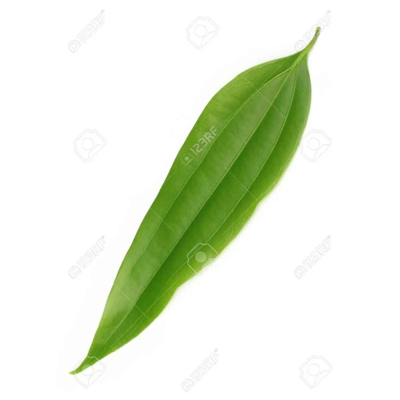 KALUSTYANS CASSIA LEAVES TEJ PATTA 0.03 Lbs