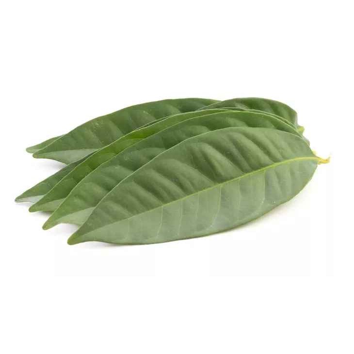 KALUSTYANS DAUN SALAM 0.03 Lbs