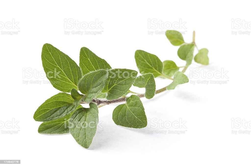 KALUSTYANS GREEK OREGANO 0.06 Lbs