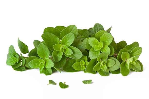 KALUSTYANS GREEK OREGANO 0.19 Lbs