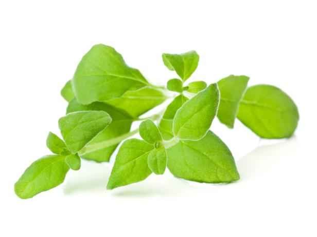 KALUSTYANS MARJORAM 0.19 Lbs
