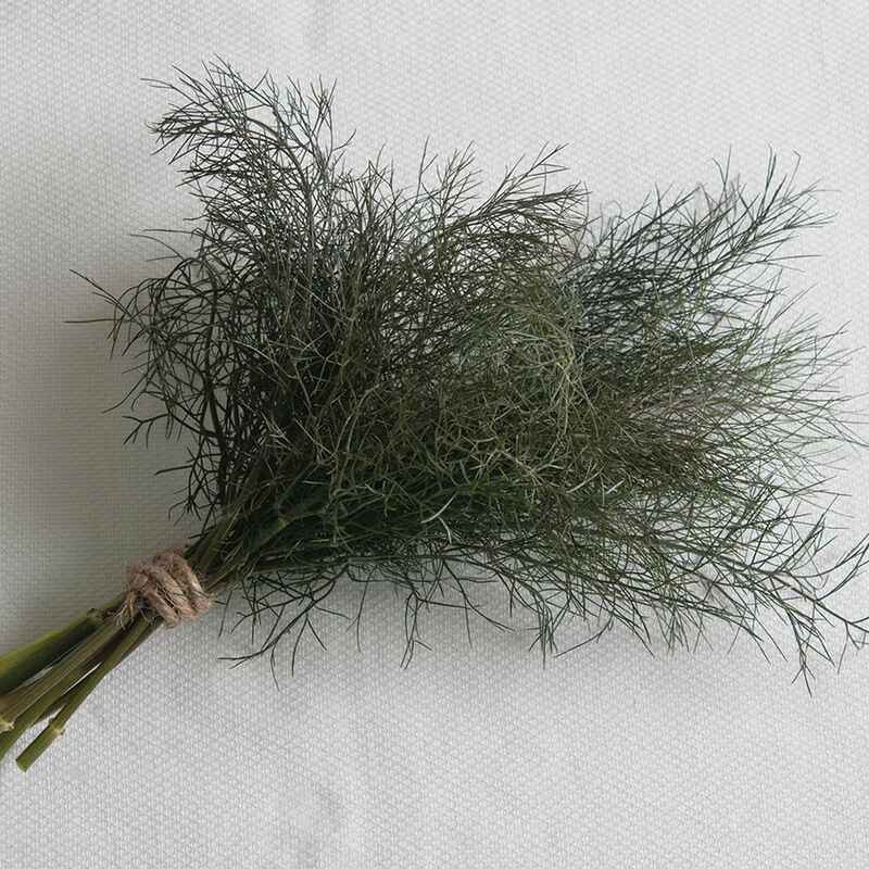 KALUSTYANS BRONZE FENNEL HERB 0.06 Lbs