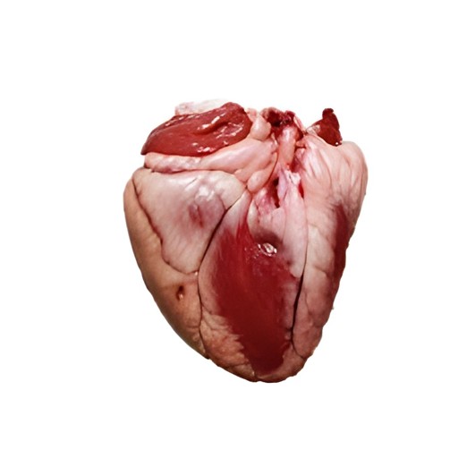 LAMB HEART 1 EACH