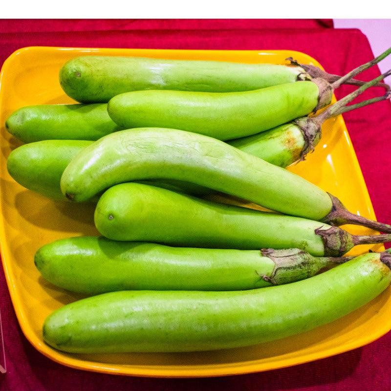 EGGPLANT GREEN LONG 1 LBS