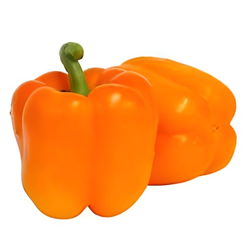 BELL PEPPER ORANGE 1 LBS