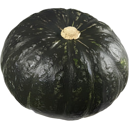 SQUASH OPO DUDHI 1 LBS