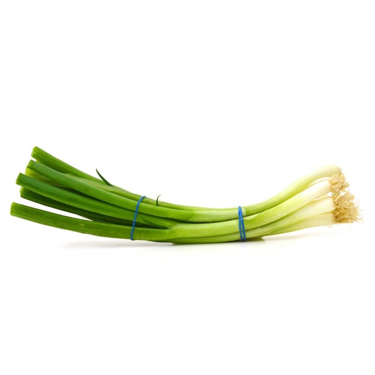 GREEN ONION SCALINE 1 LBS
