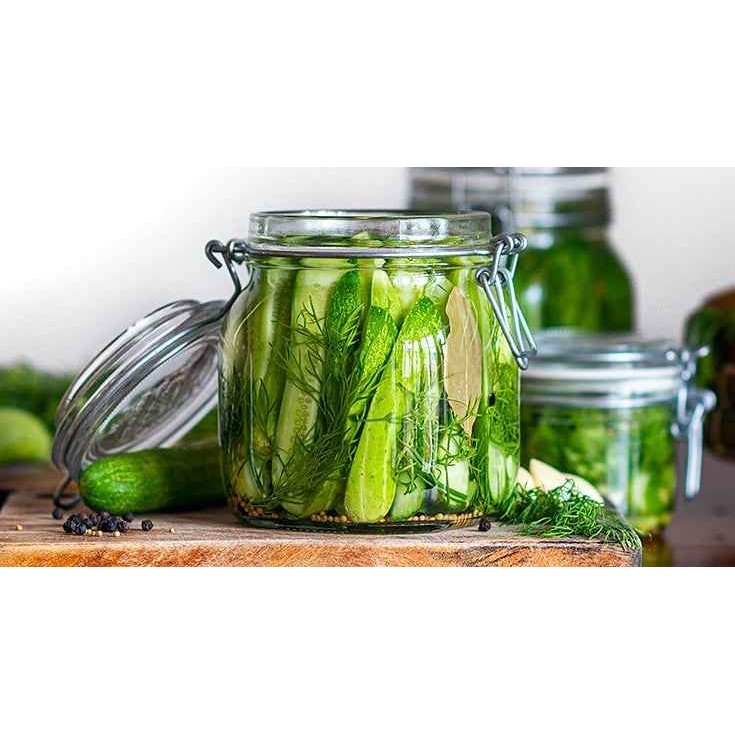 Indo Russian Style Dill Pickle 26 OZ