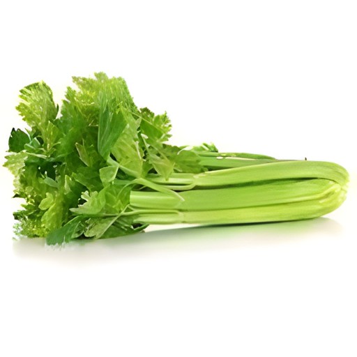 CELERY BUNCH 1 BUNCH