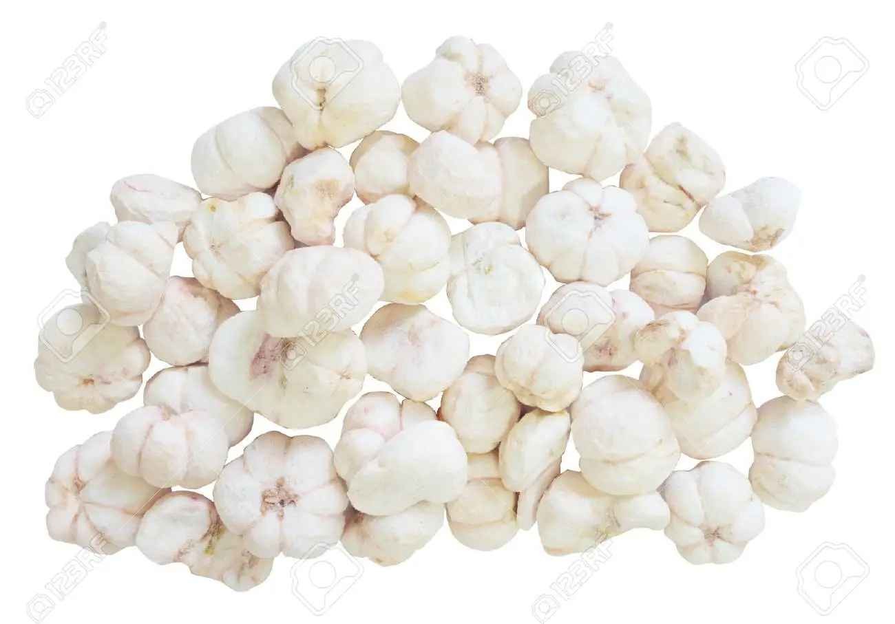 H.M. FREEZE DRIED MANGOSTEEN 0.06 Lbs