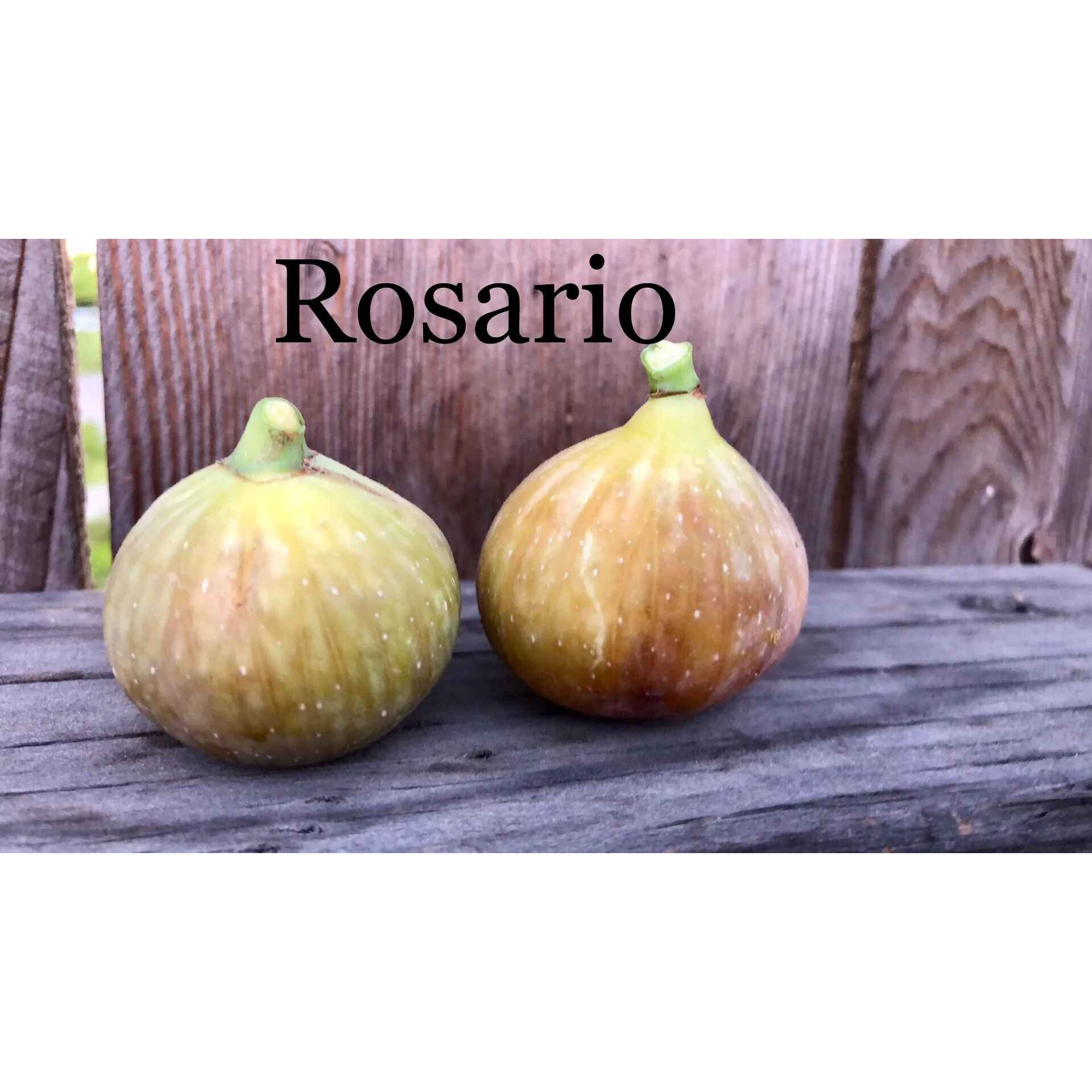 Rosario A Veg 1 LBS