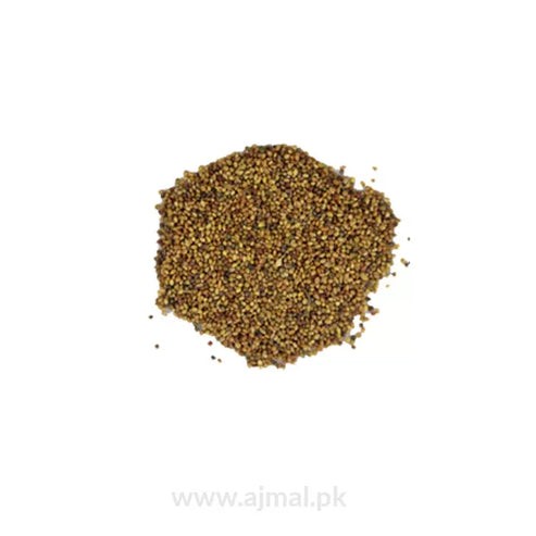 DEER BRAND METHI 199 GM