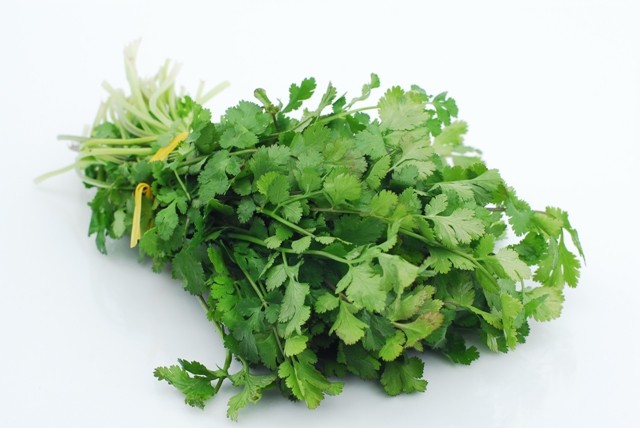 BOX CILANTRO 60 COUNT
