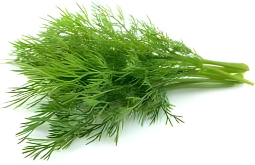 DILL BUNCH 1 LBS