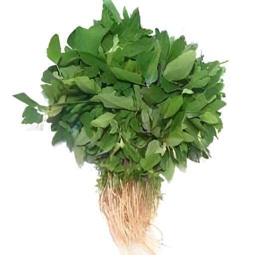 CHEEL BHAJI BATHUA 1 BUNCH