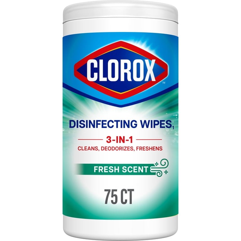 Clorox Wipes 258 GM