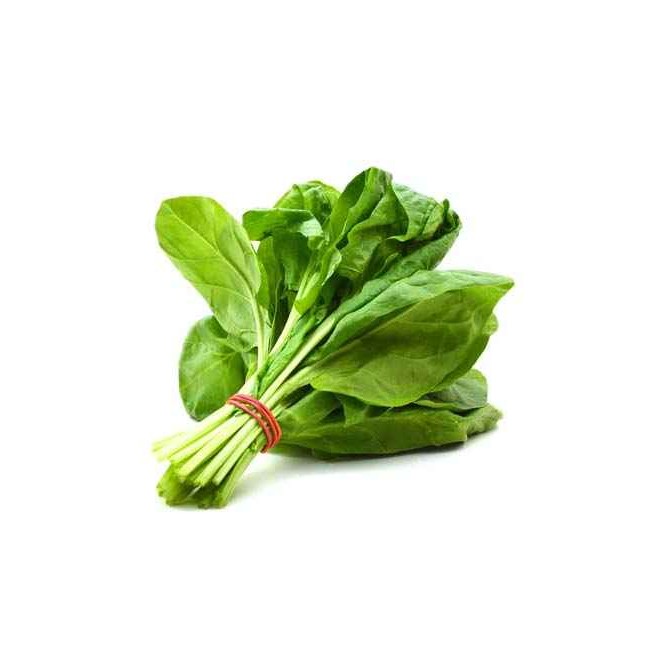 SPINACH BAG 10 OZ