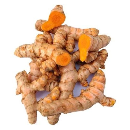 Fresh Turmeric Bag 1 PACK