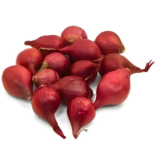 PEARL RED ONION 8 OZ