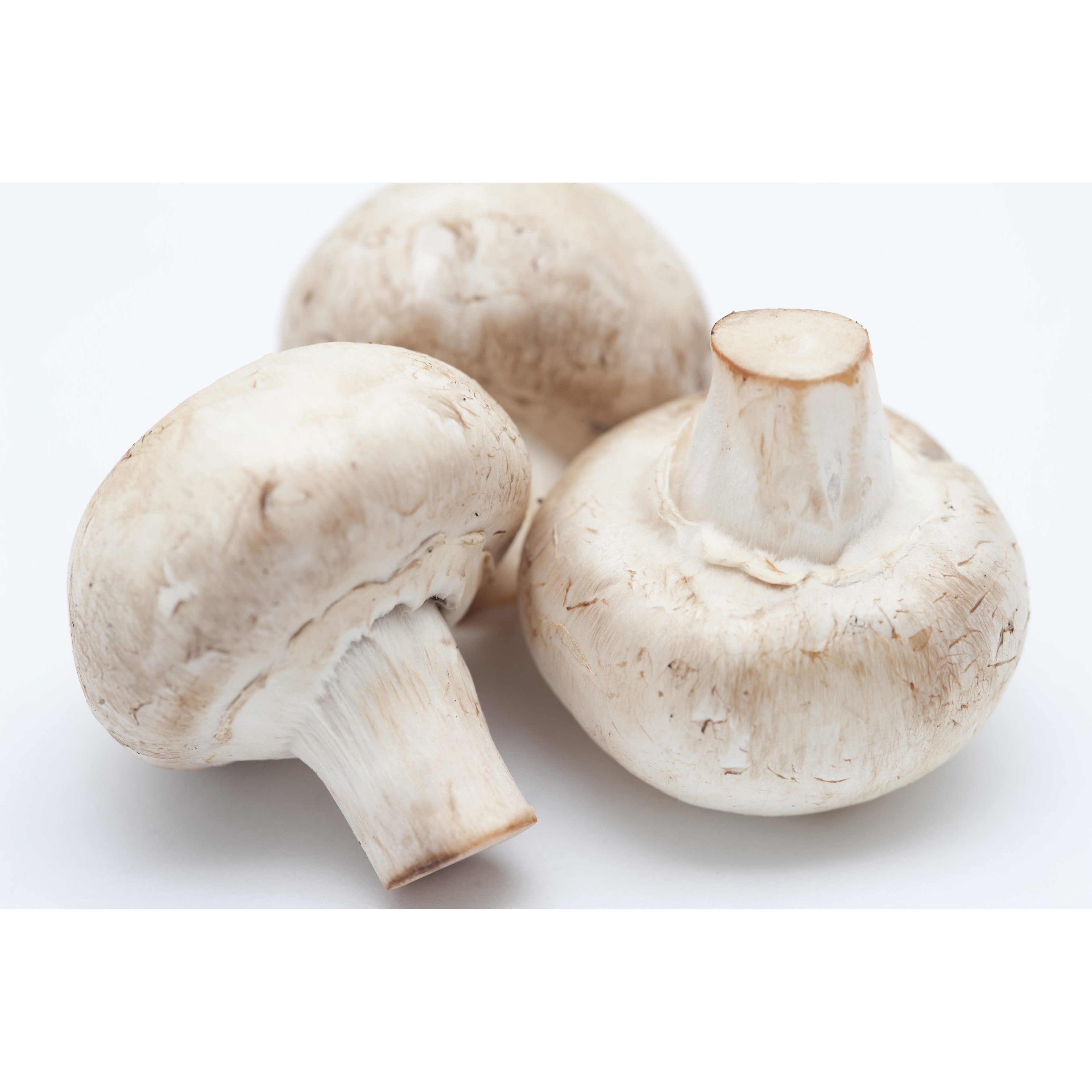 MUSHROOM WHOLE 1 LBS