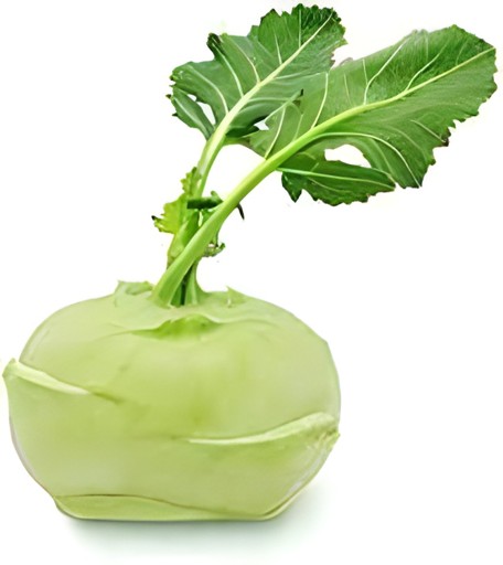 KOLHRABI 1 LBS